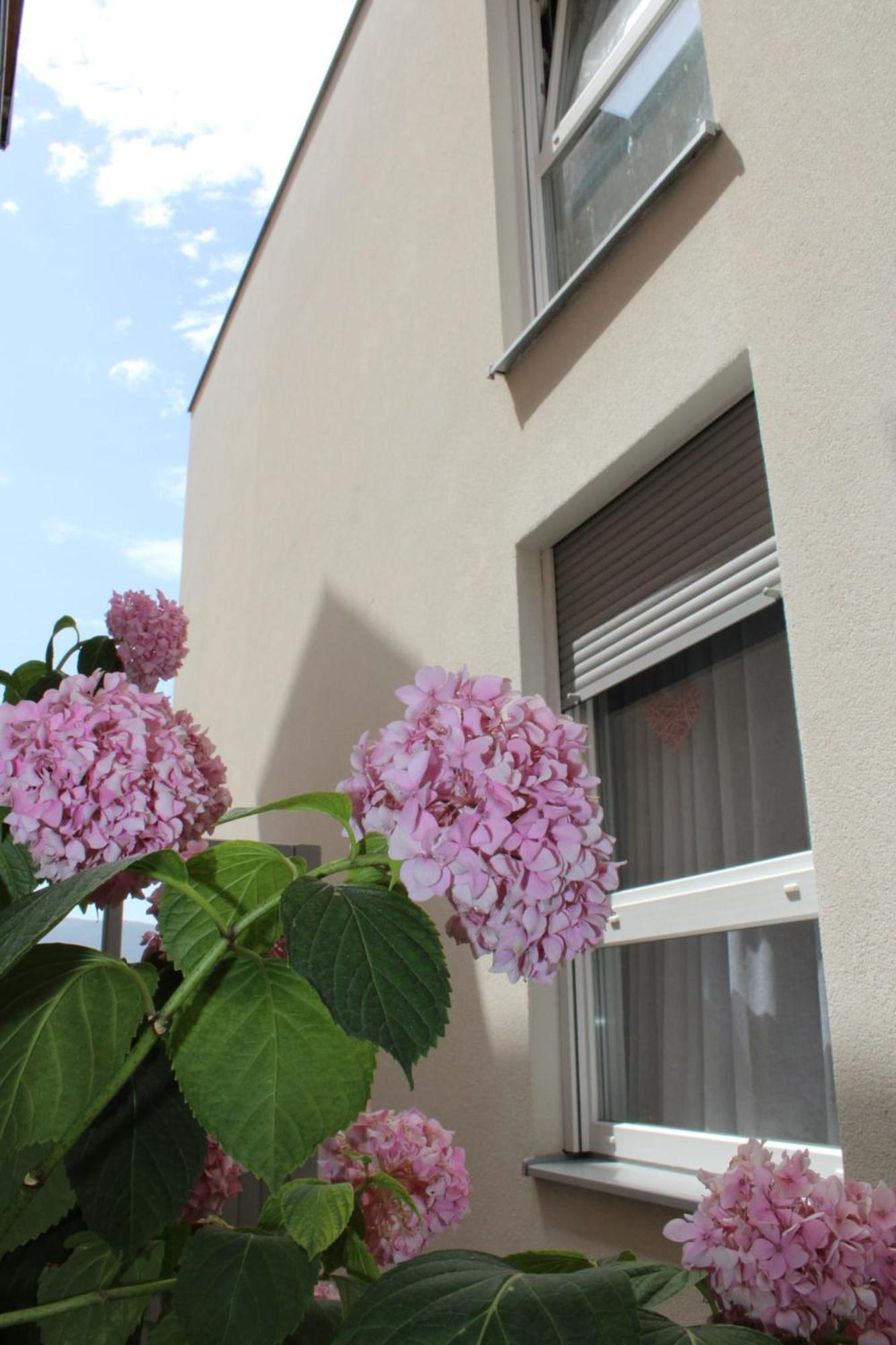 Apartment Merry - Free Garage & Parking Mostar Zewnętrze zdjęcie